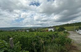 Teren intravilan, 5200mp, zona Tomesti