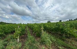 Teren intravilan, 5200mp, zona Tomesti