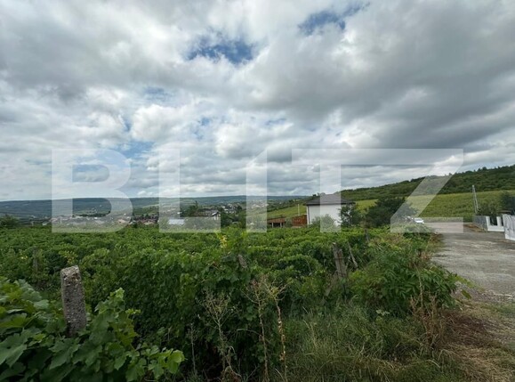 Teren de vânzare Tomesti - 155833TV | BLITZ Iași | Poza1