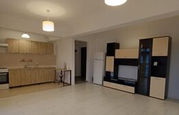Apartament cu 2 camere, semidecomandat, 46mp , zona Complex Baroque Bucium