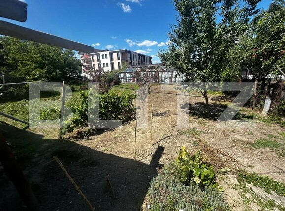 Teren de vânzare Frumoasa - 156038TV | BLITZ Iași | Poza2