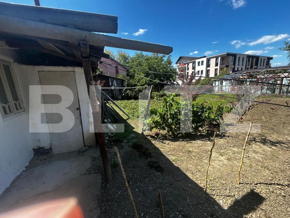 Teren de vânzare Frumoasa - 156038TV | BLITZ Iași | Poza3