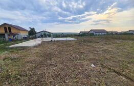 Teren, Vorovesti, 1000 mp