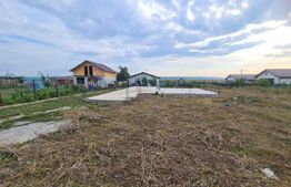 Teren, Vorovesti, 1000 mp