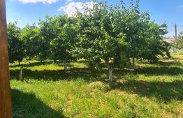 Casa, 1365 mp teren, Osoi