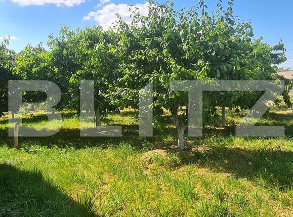 Casa de vânzare 3 camere Exterior Est - 156135CV | BLITZ Iași | Poza12