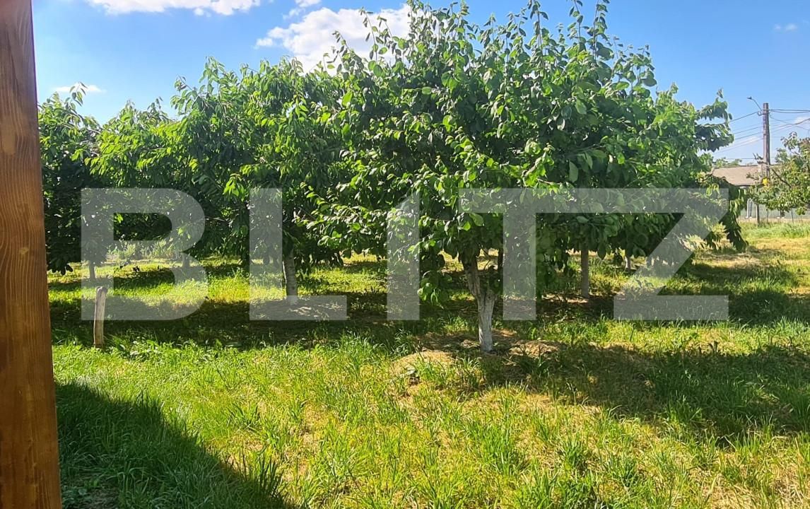 Casa de vânzare 3 camere Exterior Est - 156135CV | BLITZ Iași | Poza12