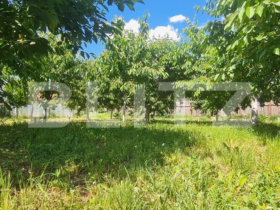 Casa de vânzare 3 camere Exterior Est - 156135CV | BLITZ Iași | Poza13