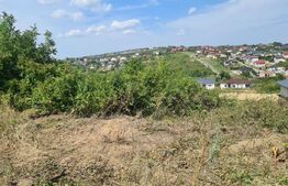 Teren, 1000 mp, Valea Adanca