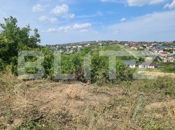 Teren de vânzare Valea Adanca - 156140TV | BLITZ Iași | Poza2