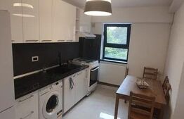 Apartament, 1 camera, 30 mp, zona Copou