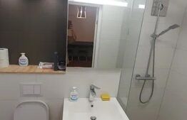 Apartament, 1 camera, 30 mp, zona Copou