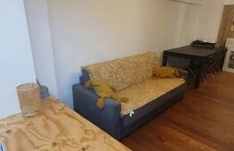 Apartament, 1 camera, 30 mp, zona Copou