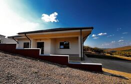 Casă Plan Parter și Mansardă, 450 MP de Teren, Zona Rediu 