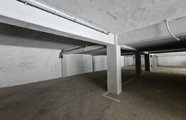 Apartamente Tip Duplex cu 3 Camere în Valea Lupului