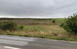 Teren 2000mp, acces la DN248, Ciurea 