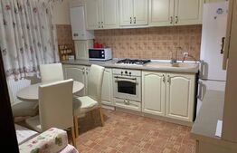 Apartament de 2 camere, 50mp, decomandat, gradina, parcare, zona Cug