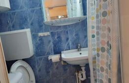 Apartament cu o camera, 22 mp, zona Alexandru cel Bun