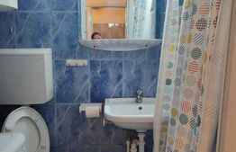 Apartament cu o camera, 22 mp, zona Alexandru cel Bun