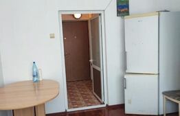 Apartament cu o camera, 22 mp, zona Alexandru cel Bun