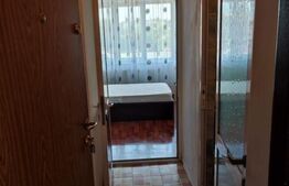 Apartament cu o camera, 22 mp, zona Alexandru cel Bun