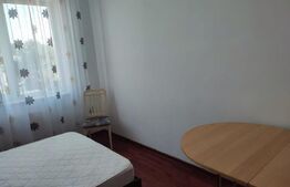 Apartament cu o camera, 22 mp, zona Alexandru cel Bun