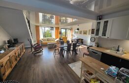 Duplex 163+27mp terasa la cheie, teren 450 mp, finisaje lux, zona Bucium