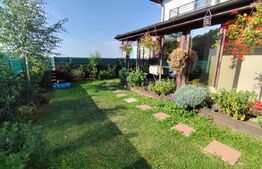 Casa deosebita 5 camere, Pietrarie