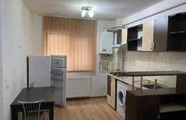 Apartament de 1 camere, 23 mp, zona Bucsinescu