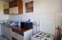 Apartament 1 camera, 35 mp, zona Tatarasi