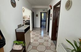 Casa 6 camere, 229 mp, scara exterioara, zona Dorobanti