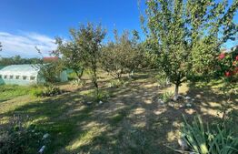 Casa 6 camere, 229 mp, scara exterioara, zona Dorobanti