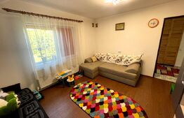 Casa 6 camere, 229 mp, scara exterioara, zona Dorobanti
