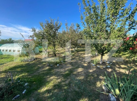 Casa de vânzare 6 camere Dorobanti - 157600CV | BLITZ Iași | Poza4