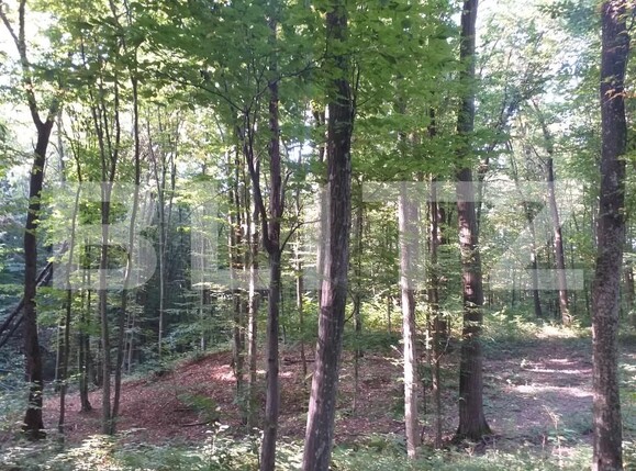 Teren de vânzare Grajduri - 157610TV | BLITZ Iași | Poza1