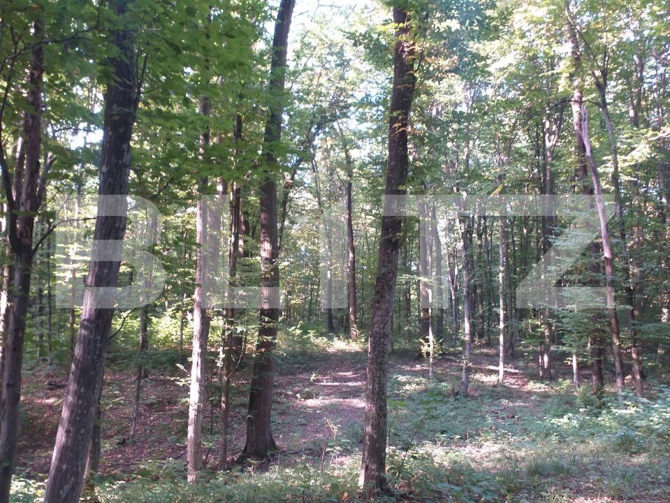 Teren de vânzare Grajduri - 157610TV | BLITZ Iași | Poza2