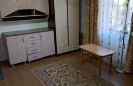 Camera cu baie si intrare separata, 30 MP, Valea Lupului