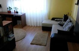Apartament cu o camera, 46 MP, Zona Pacurari