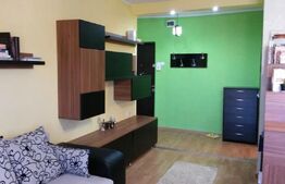 Apartament cu o camera, 46 MP, Zona Pacurari