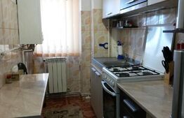 Apartament cu o camera, 46 MP, Zona Pacurari