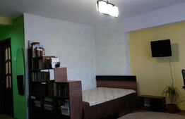 Apartament cu o camera, 46 MP, Zona Pacurari