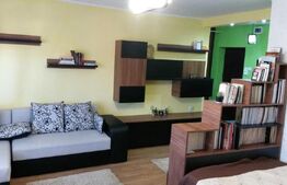 Apartament cu o camera, 46 MP, Zona Pacurari