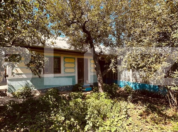 Casa de vânzare 4 camere Schitu Duca - 157697CV | BLITZ Iași | Poza6