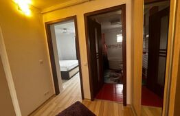 Apartament de 2 camere, 50mp utili, mobilat și utilat, zona Visani