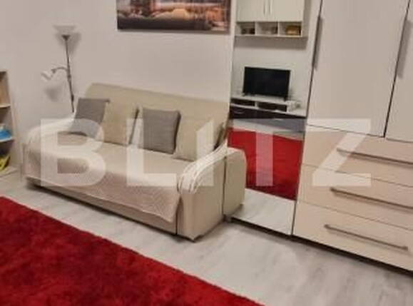 Garsonieră de închiriat Podul de Piatra - 157822AI | BLITZ Iași | Poza2