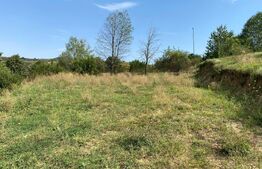 Teren 1175mp Aroneanu Iasi