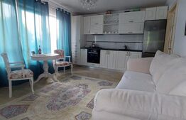 Apartament de 2 camere, 50 mp, zona Tatarasi