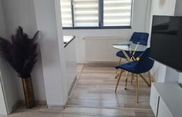 Apartament de 2 camere, 47 mp, zona Podu de Fier