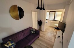 Apartament de 2 camere, 47 mp, zona Podu de Fier