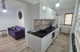 Apartament de 2 camere, 47 mp, zona Podu de Fier